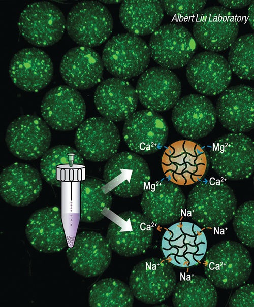 microgels